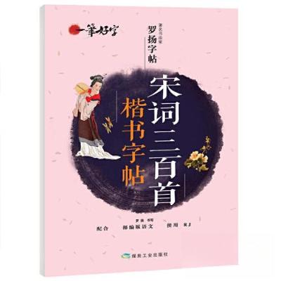 正版新书]一笔好字 著名书法家罗扬字帖:宋词三百首楷书字帖罗扬