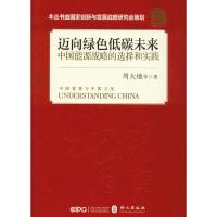 正版新书]迈向绿色低碳未来 中国能源战略的选择和实践周大地978