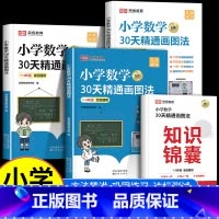 [全4册]小学数学30天精通画图法 小学通用 [正版]小学数学30天精通画图法全套通用版一二三四五六年级上下册数学专项思