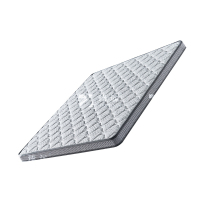 臻远 ZY3120212 棕垫护脊3E椰棕床垫 1500*2000*150 1张