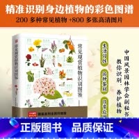 常见观赏植物识别图鉴 [正版]图解系列大全矿物与岩石完全图鉴 花草植物动物猫咪世界名犬图鉴系列全新升级版 图解中医入门保