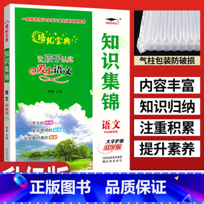 [正版]培优宝典小学语文知识集锦升级版 让孩子从此爱上语文基础知识手册小考小升初总复习资料 小学四五六年级重点知识集锦