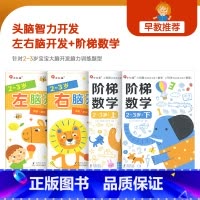 [推荐组合]2-3岁阶梯数学+左右脑(4册) [正版]全套阶梯数学2-3-4-5岁6儿童潜能开发益智早教游戏书启蒙幼儿园