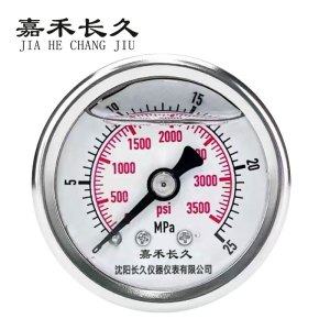 嘉禾长久 耐震压力表检测定制型 YTN50Z 块