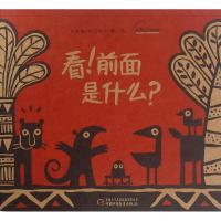 正版新书]看!前面是什么?马塞洛·皮门特尔9787514833843