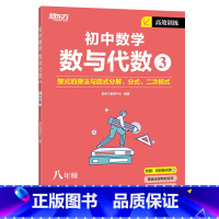 高效训练初中数学 数与代数3 八年级/初中二年级 [正版]2023版初中英语词汇词根+联想记忆法 乱序便携版 绿宝书 俞