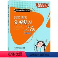 语文 [正版]2021 新版 语文期末分项复习21天 核心素养天天练 4 四年级 语文 同步练习题 浙江教育出版社