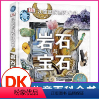 岩石与宝石(精)/DK儿童图解百科全书 [正版]岩石与宝石(精)DK儿童图解百科全书 揭秘地球地理岩石地球变迁恐龙化石