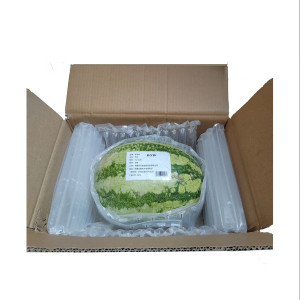 新全新西瓜1kg/份