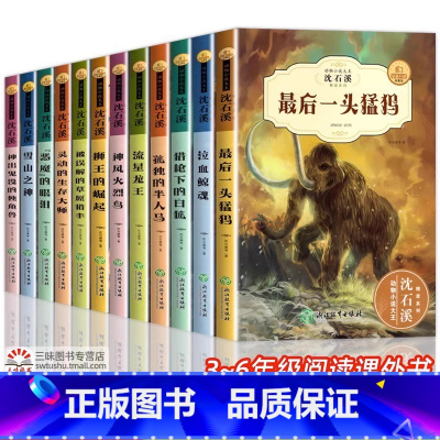 [全12册] 沈石溪动物小说全集 [正版]泣血鲸魂 沈石溪动物小说系列 全集珍藏版儿童文学经典课外书籍适合小学生的课外书