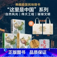 这里是中国1-3套装+帆布袋 [正版]赠帆布袋这里是中国1-3套装 星球研究所 等著 这里是中国系列 自然风光 伟大工程