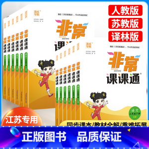 语文 人教版 六年级下 [正版]2024新版 非常课课通语文数学英语江苏一年级二年级三年级四年级五年级六年级上册苏教版译