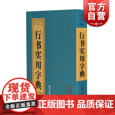 行书实用字典 孙宝文 收字以晋/隋/唐书家字迹为主 兼收宋/元/明清书家字迹 书法字典图书工具书 上海辞书 世纪出版
