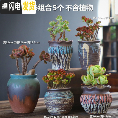三维工匠多肉花盆大号老桩创意个性大口径粗陶透气陶瓷肉肉植物盆 DL手造-16组合5个 中等花盆容器