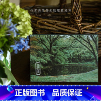 [正版]知否知否 摄影师@一只羊阿姨摄影作品 大自然中绿色系景象和事物 出类艺术明信片创意唯美风景文艺小清新贺卡插画集