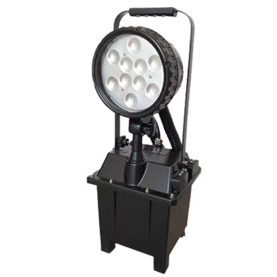 萨威帝尔SWFBFG6102 30W IP65 24V光通量3000lm Ex de II CGc正白光5700K LED防爆泛光工作灯(计价单位:台)黑色