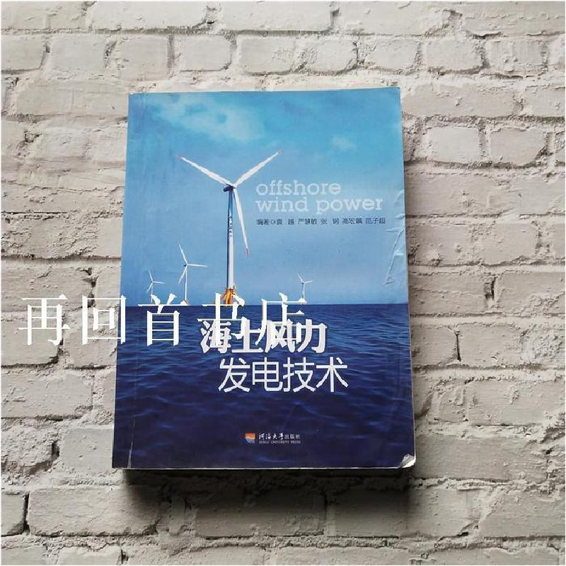 正版新书]海上风力发电技术袁越9787563037933