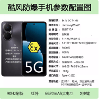 华为 畅享80 256G 防爆手机 4G全网通制药厂化工厂石油本安型EX巡检防爆定制版