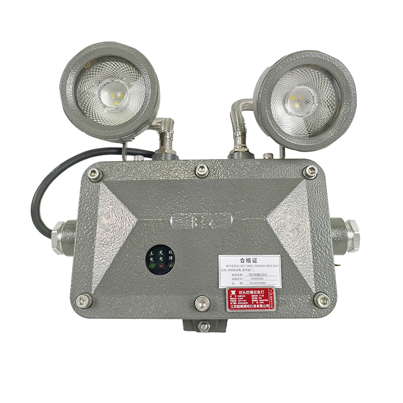 OHUIZAOMIN 双头防爆应急灯 OHBF8190 个