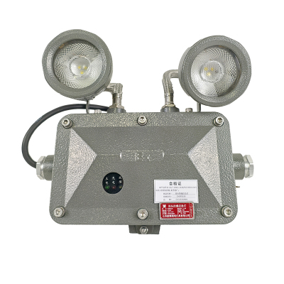 OHUIZAOMIN 双头防爆应急灯 OHBF8190 个