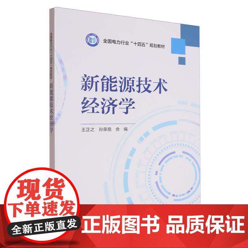 新能源技术经济学 王正之 孙荣岳中国电力出版社9787519893774正版书籍