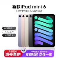 苹果 Apple iPad mini6 256G 深空灰色 WIFI版 资源机