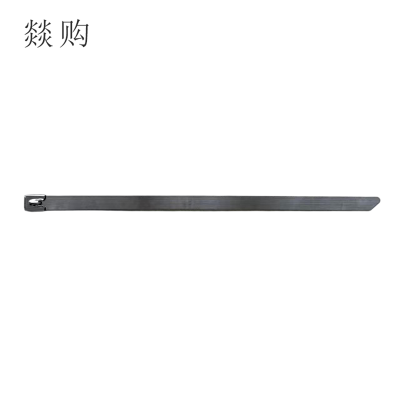 燚购304不锈钢自锁式扎带7.9*300mm 根