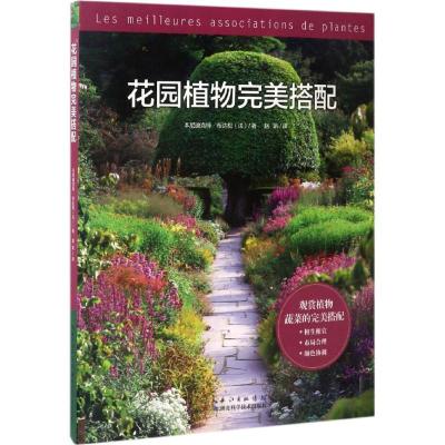 正版新书]花园植物完美搭配本尼迪克特·布达松9787535273505