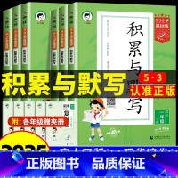 [3本]积累与默写+同步作文+练字帖 三年级下 [正版]2025新版53小学基础题语文积累与默写一二三年级四五年级六年级