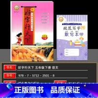 语文 五年级下 [正版]2025春新好字行天下五年级下册 人教版 好字行天下 五年级下册语文铅笔字练字帖 语文课后作业