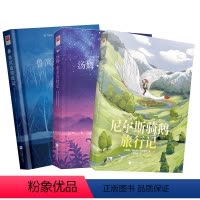 [正版]精装|鲁滨逊漂流记+汤姆索亚历险记+尼尔斯骑鹅旅行记 (3册)原著中文完整版小学生六年级下册读课外童话故事阅读