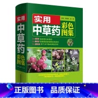 [正版] 书籍实用中草药彩色图集