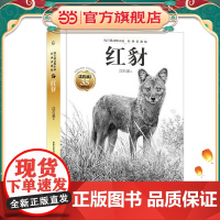 沈石溪动物小说经典爱藏版·红豺