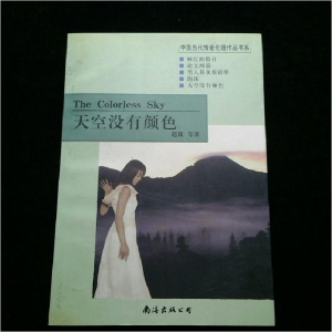 正版新书]天空没有颜色赵玫9787544217545