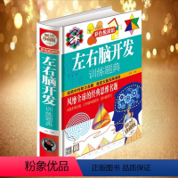 [正版]逻辑学左右脑开发训练题典中小学生智力开发思维训儿童益智游戏提高记忆力训练玩转中外智力名题游戏激发大脑无限思维书