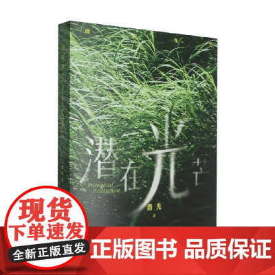 潜在光芒 潜光 著 摄影