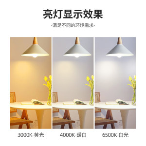 飞利浦(PHILIPS)经济型LED灯泡节能灯泡照明球泡灯E27螺口