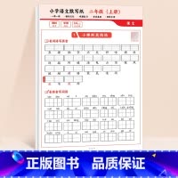 [二年级上册]小学语文默写纸 [正版]语文默写纸小学一年级二年级三年级上册看拼音写生字词语同步人教版小学生字帖练字练习册