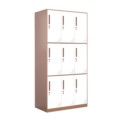 臻远 ZY-GYGC-11拆装更衣柜窄边储物柜 咖白套色九门