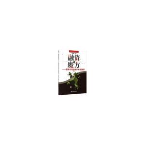 正版新书]融资魔方-图表诗说金融产业链融资张玮斌9787509637203