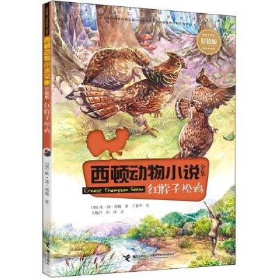 正版新书]西顿动物小说全集:彩绘版•红脖子松鸡欧·汤·西顿97875