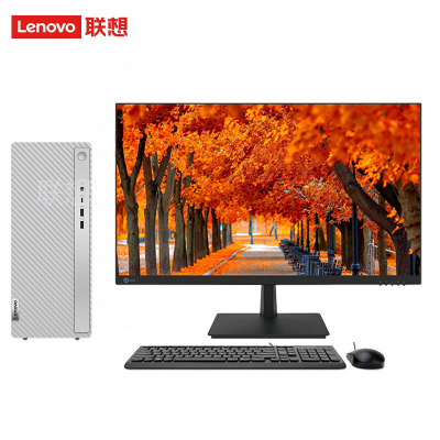 联想(Lenovo)天逸510Pro 台式机电脑整机 (i7-13700 32G 1T+512G SSD 键鼠 Win11Wifi+蓝牙)23.8英寸显示器 商用家用学习 定制