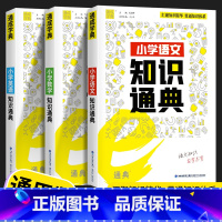 [3本套]语文+数学+英语 小学通用 [正版]2023新版 通城学典小学语文数学英语知识通典通用版 古诗文词汇学典小学生