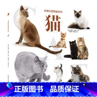 经典科普图鉴系列-猫 [正版]经典科普图鉴系列 猫介绍了42种猫的特征性格以及饲养技巧等内容大量美图带您近距离欣赏猫了解