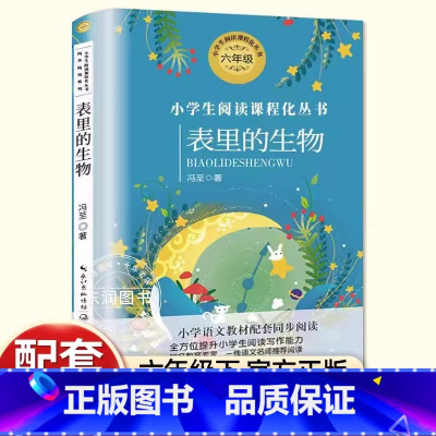 [ 六年级下]表里的生物 [正版]送考点手册汤姆索亚历险记原著快乐读书吧六年级下册课外书必读老师人教版鲁滨逊漂流记爱丽丝