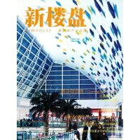 音像新楼盘43:商业综合体王志