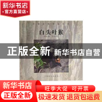 正版 中国珍稀野生动物——白头叶猴 阎寿根摄影 中国摄影出版社