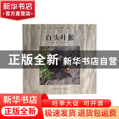 正版 中国珍稀野生动物——白头叶猴 阎寿根摄影 中国摄影出版社