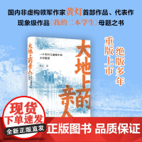 大地上的亲人:一个农村儿媳眼中的乡村图景 国内非虚构领军作家黄灯首部作品 特朗普副总统候选人万斯《乡下人的悲歌》中国版译