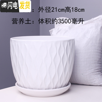 三维工匠特大号花盆陶瓷简约吊兰创意绿萝家用阳台多肉花盆带托盘 56014白特大号+土 特大花盆容器